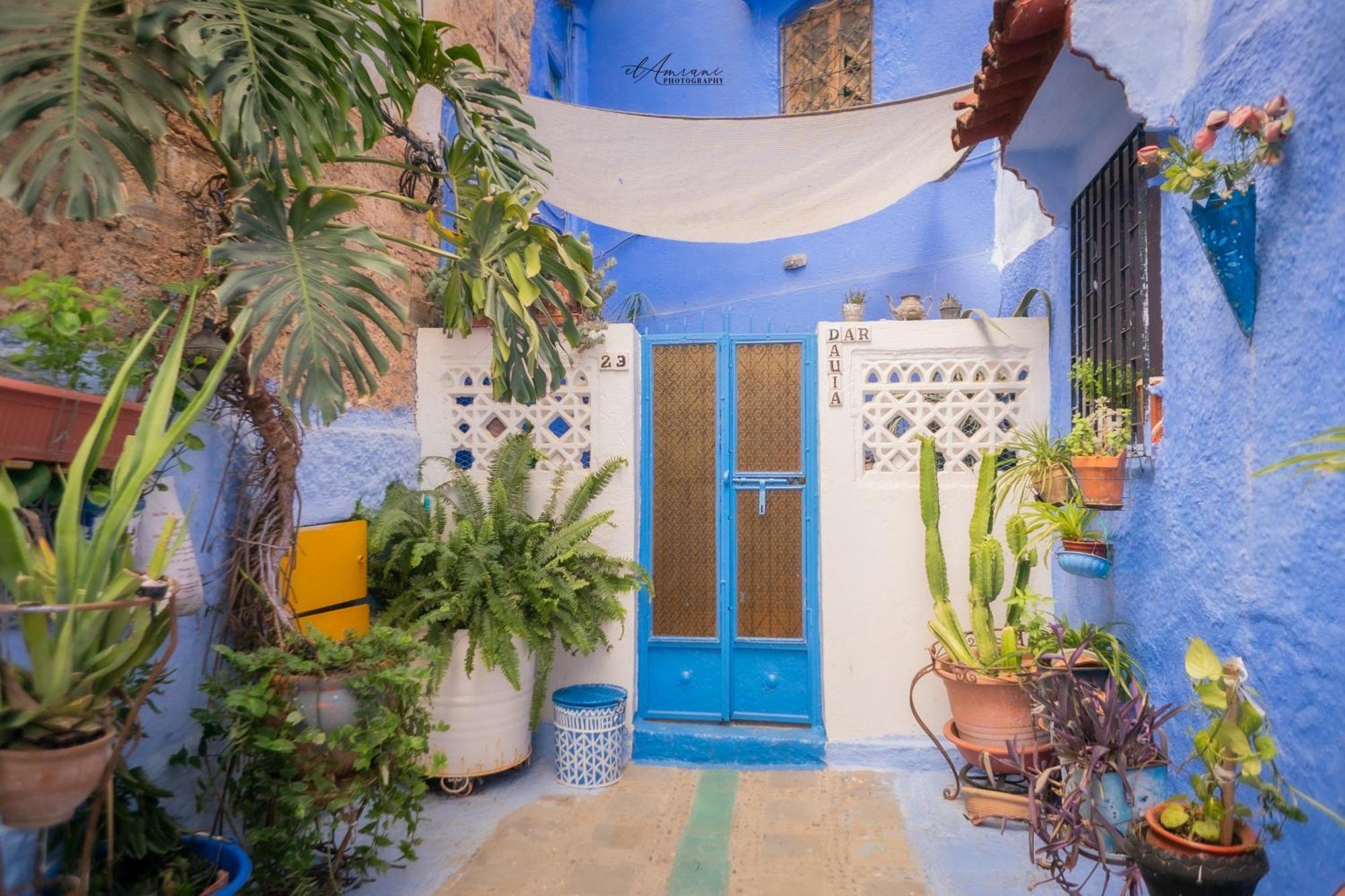 Dar Dauia Apartment เชฟชาอูน ภายนอก รูปภาพ